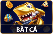 Bắt Cá